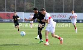 08.03.26 U19 VfB Stuttgart - U19 1. FC K&ouml;ln