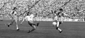 DFB-Pokal Finale 1987 Hamburger SV - Stuttgarter Kickers