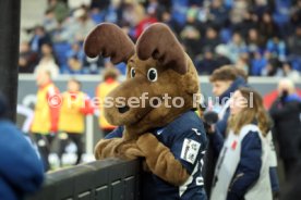 31.01.26 TSG 1899 Hoffenheim - 1. FC Union Berlin