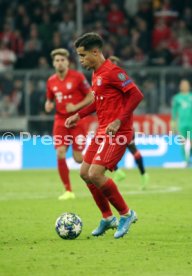 FC Bayern M&uuml;nchen - Roter Stern Belgrad