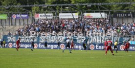 SV Stuttgarter Kickers