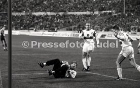 24.11.90 VfB Stuttgart - 1. FC K&ouml;ln