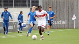 14.09.24 U17 VfB Stuttgart - U17 TSG 1899 Hoffenheim