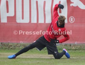 VfB Stuttgart Training