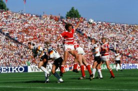 14.06.88 Deutschland - D&auml;nemark