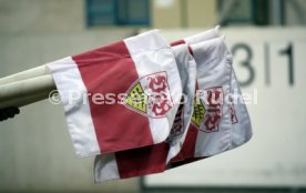 14.03.21 VfB Stuttgart - TSG 1899 Hoffenheim