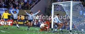 FIFA WM 1978