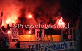 VfB Stuttgart - TSV 1860 M&uuml;nchen