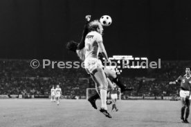 VfB Stuttgart - Cosmos New York