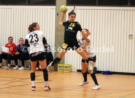 29.01.22 TV Nellingen - HCD Gr&ouml;benzell
