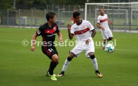 VfB Stuttgart - FC Ingolstadt