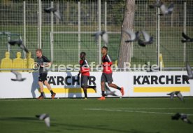 VfB Stuttgart Training