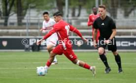 26.04.25 U19 VfB Stuttgart - U19 1. FC Köln