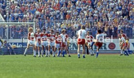 16.05.81 Hamburger SV - VfB Stuttgart