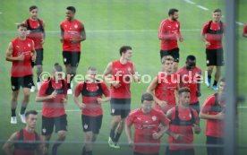 VfB Stuttgart Training