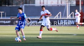 05.01.25 VfB Stuttgart - FC Luzern