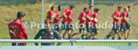 VfB Stuttgart Training