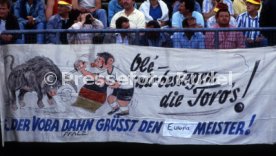 17.06.88 Deutschland - Spanien