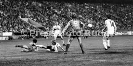 VfB Stuttgart - 1. FC K&ouml;ln