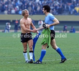 FIFA WM 1978