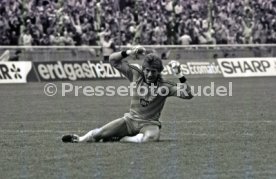 DFB-Pokal Finale 1987 Hamburger SV - Stuttgarter Kickers