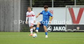 14.09.24 U17 VfB Stuttgart - U17 TSG 1899 Hoffenheim