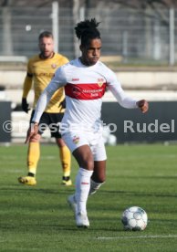 VfB Stuttgart - SG Dynamo Dresden
