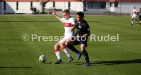 U19 VfB Stuttgart - U17 Eintracht Frankfurt