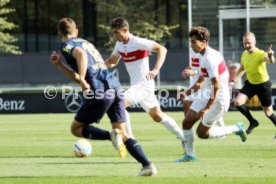 08.10.23 VfB Stuttgart II - 1. FSV Mainz 05 II