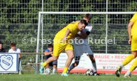 23.08.26 TSV Ph&ouml;nix Steinsfurt - SV Tiefenbach