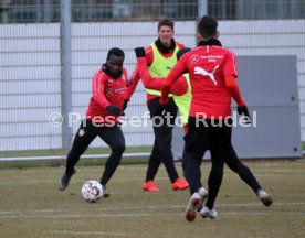 VfB Stuttgart Training