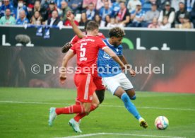22.10.22 TSG 1899 Hoffenheim - FC Bayern M&uuml;nchen