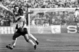 14.06.88 Deutschland - D&auml;nemark