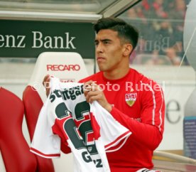 VfB Stuttgart - TSG 1899 Hoffenheim