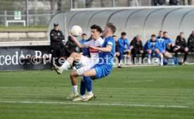 16.03.24 VfB Stuttgart II - SGV Freiberg