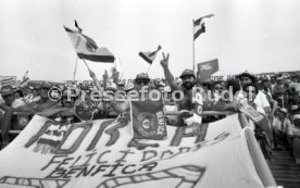 25.05.88 PSV Eindhoven - Benfica Lissabon