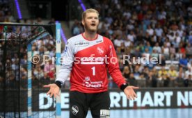 TVB Stuttgart - Rhein-Neckar L&ouml;wen