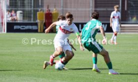 10.08.25 U19 VfB Stuttgart - U19 SpVgg Greuther Fürth