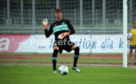 FC Z&uuml;rich - VfB Stuttgart