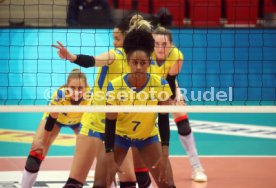 03.12.21 Allianz MTV Stuttgart - SSC Palmberg Schwerin