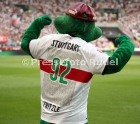 VfB Stuttgart - 1. FSV Mainz 05
