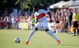 TSG Backnang - VfB Stuttgart