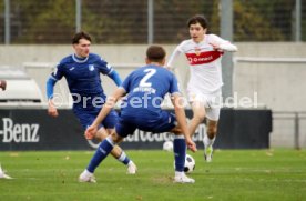 25.11.23 U19 VfB Stuttgart - U19 TSG 1899 Hoffenheim