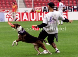 VfB Stuttgart - Bayer 04 Leverkusen