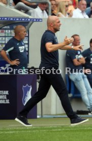 TSG 1899 Hoffenheim - SV Werder Bremen