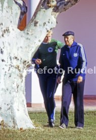 FIFA WM 1978
