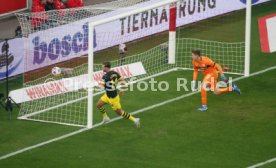 11.11.23 VfB Stuttgart - Borussia Dortmund