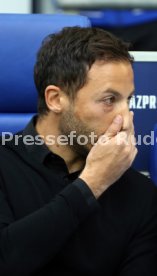 FC Schalke 04 - VfB Stuttgart