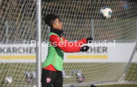 VfB Stuttgart Training