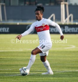 VfB Stuttgart - SG Dynamo Dresden